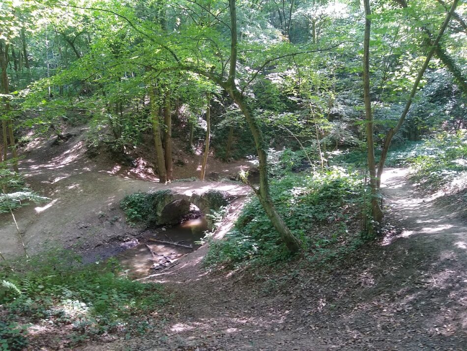 trail et bière : 2 incontournables